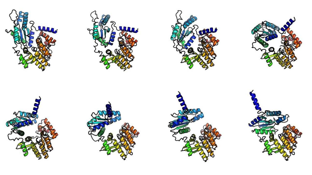 Nelja proteiinistruktuuri joonised, igaüks erineva nurga alt. Igal struktuuril on mitmevärvilised heeliksid, mis moodustavad keeruka 3D-kuju, mis sarnaneb väänatud lindiga. Struktuurid on paigutatud kahte ritta, igas reas neli joonist. Taust on valge.