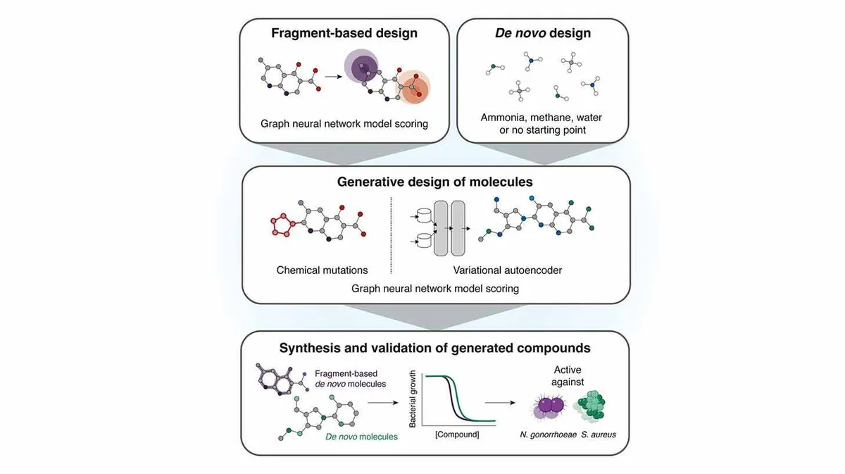 Diagramm kirjeldab molekulide generatiivset disaini. Ülemises osas on näidatud fragmentidel põhinev disain ja de novo disain, kasutades graafneuroonvõrgu mudelite hindamist. Keskmises osas on molekulide generatiivne disain läbi keemiliste mutatsioonide ja varieeruva autokodeerija. Alumises osas on toodud sünteesitud ja valideeritud ühendite analüüs, sealhulgas bakterite kasv ja aktiivsus bakterite nagu N. gonorrhoeae ja S. aureus vastu.